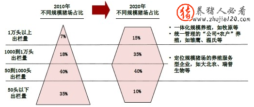 中国生猪养殖的经营管理模式分析（目前我国常见的生猪养殖模式）