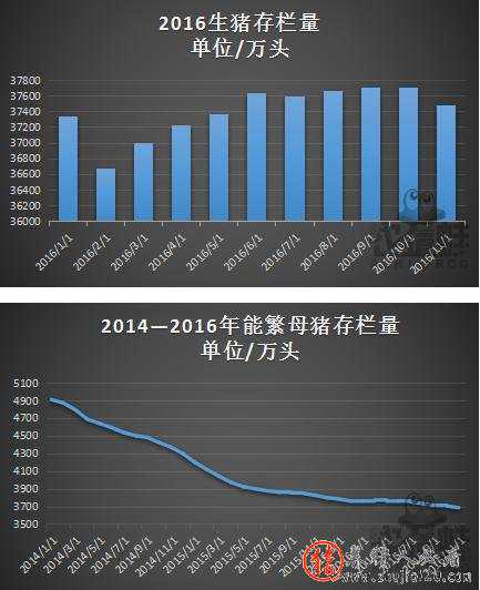 新形势下养猪散户的突围之路（养猪 散户）