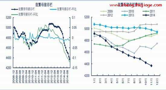 能繁母猪存栏走出新低，2015年生猪供应同比大幅下降