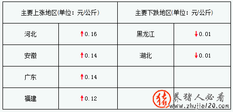 猪评：猪价持续上涨（猪价飙升）