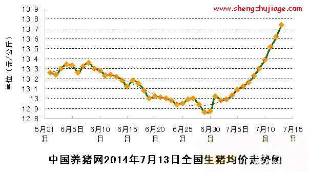 猪价难以实现大幅反弹（猪价难以实现大幅反弹吗）