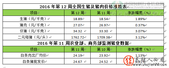 市场缺猪严重 市场缺猪严重什么意思