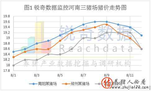 河南猪场猪价连续3天大地震（河南猪价上涨）