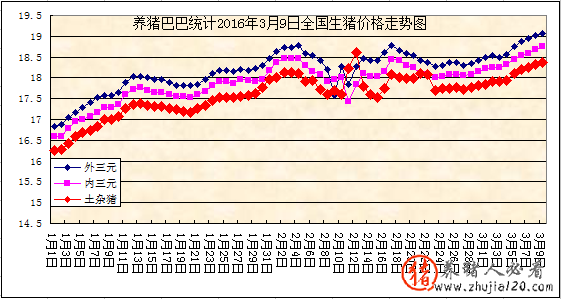 趋势：国内猪市出现火热行情 国内猪价行情