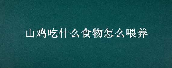 山鸡吃什么食物怎么喂养（山鸡是怎么喂食的）