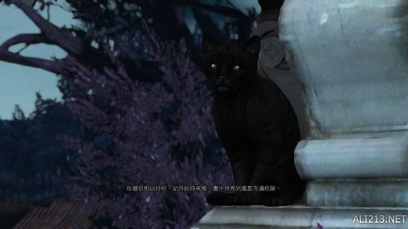 《巫师3：狂猎》石之心通关心得感受