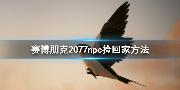 赛博朋克2077NPC怎么捡（赛博朋克2077哪里能捡到好东西）