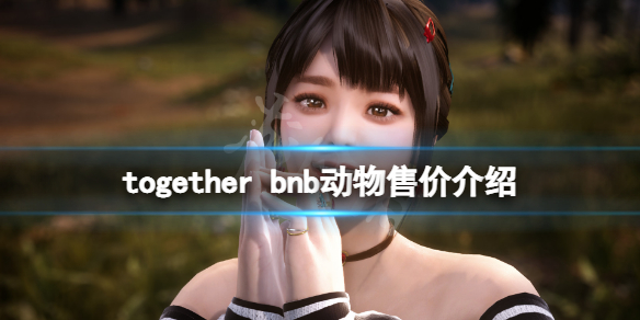 together bnb动物多少钱 together bnb动物售价介绍