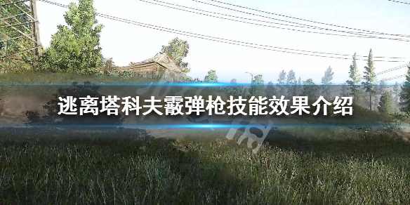 逃离塔科夫霰弹枪技能效果介绍 逃离塔科夫霰弹枪打不死人