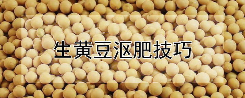 生黄豆沤肥技巧 生黄豆沤肥技巧图解