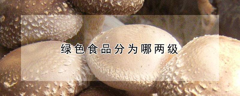 绿色食品分为哪两级（绿色食品分成几级）