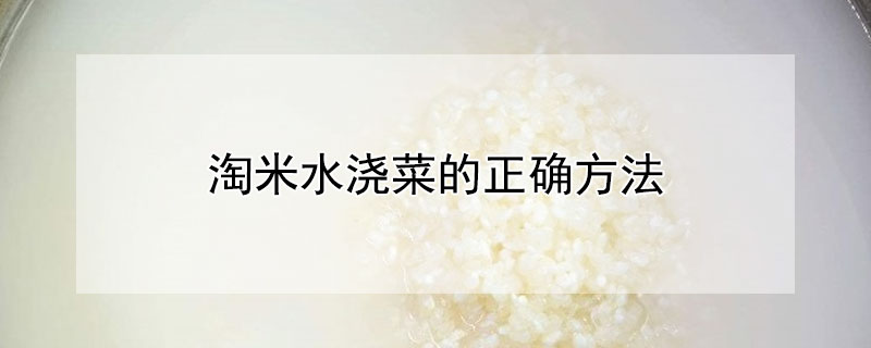 淘米水浇菜的正确方法（用淘米水浇菜的正确方法）