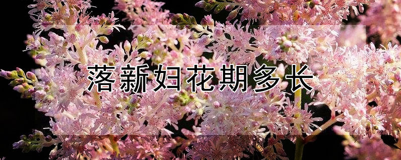 落新妇花期多长（落新妇花期多久）