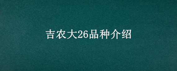 吉农大26品种介绍（吉农大玉米种子都有什么品种）