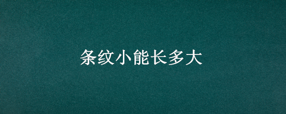 条纹小能长多大（条纹小鱼图片）