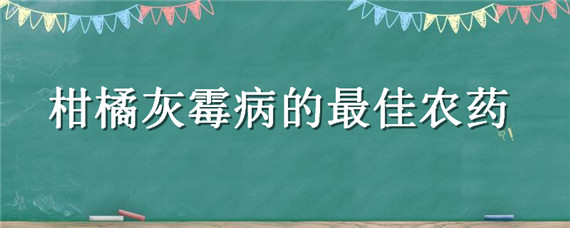 柑橘灰霉病的最佳农药 灰霉病复配的最佳配方