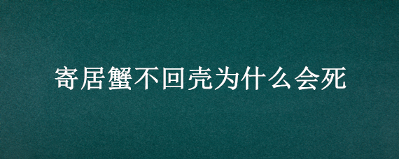 寄居蟹不回壳为什么会死 寄居蟹不回壳为什么会死掉