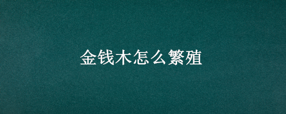 金钱木怎么繁殖 金钱木怎么繁殖扦插