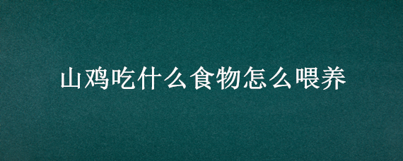 山鸡吃什么食物怎么喂养（山鸡吃什么饲料）