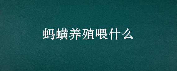 蚂蟥养殖喂什么 蚂蟥养殖喂什么饲料