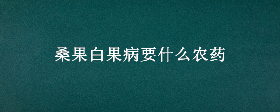 桑果白果病要什么农药（果桑白果病打什么药）