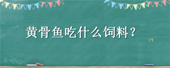 黄骨鱼吃什么饲料（黄骨鱼吃什么饲料长得快）