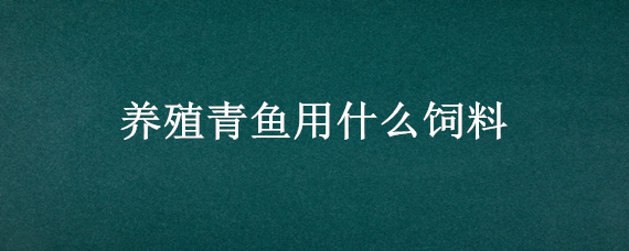 养殖青鱼用什么饲料 养殖青鱼用什么饲料比较好