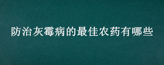 防治灰霉病的最佳农药有哪些 灰霉病最好的三大特效药