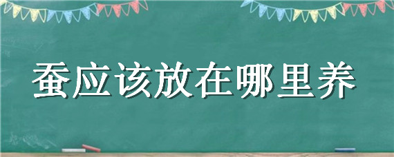 蚕应该放在哪里养（蚕放在哪里养比较好）