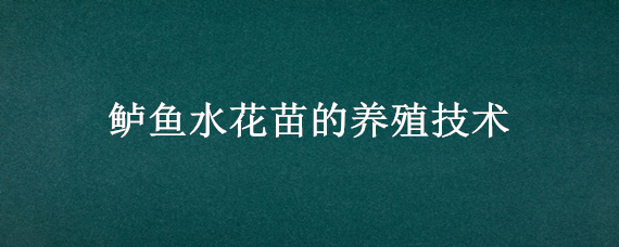 鲈鱼水花苗的养殖技术 鲈鱼水花苗的养殖技术视频