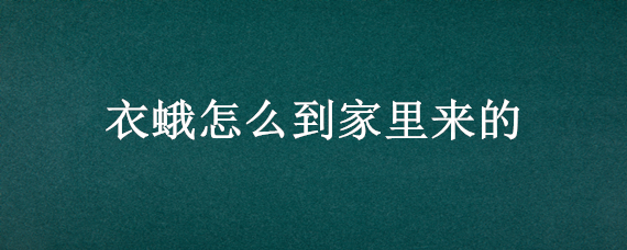 衣蛾怎么到家里来的（衣蛾从哪里来）