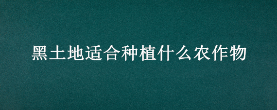 黑土地适合种植什么农作物 黑土地上种什么作物