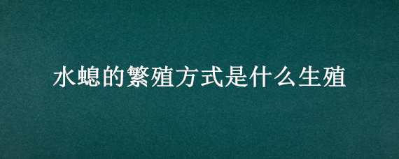 水螅的繁殖方式是什么生殖（水螅的繁殖过程）