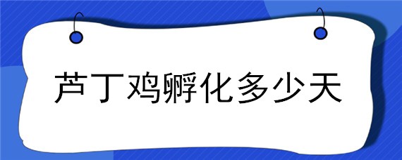 芦丁鸡孵化多少天 芦丁鸡孵化多少天可以出壳