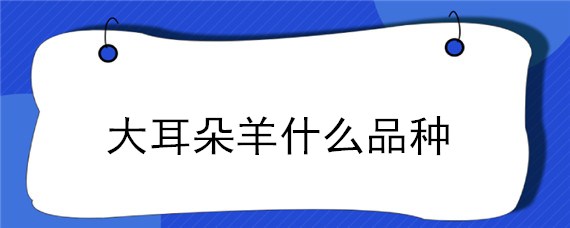 大耳朵羊什么品种 大耳朵羊是啥品种