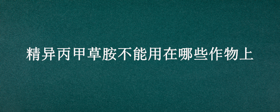 精异丙甲草胺不能用在哪些作物上（精异丙甲草胺使用说明书）