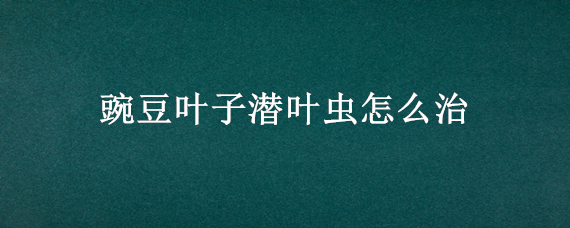 豌豆叶子潜叶虫怎么治（豌豆叶子潜叶虫怎么治理）