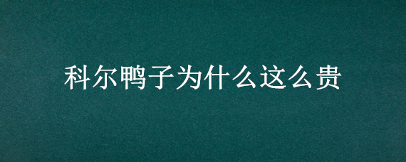 科尔鸭子为什么这么贵 科尔鸭 为什么那么贵