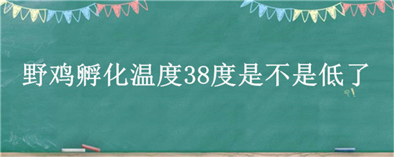 野鸡孵化温度38度是不是低了 野鸡孵化温度38度是不是低了些