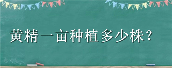 黄精一亩种植多少株