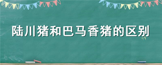 陆川猪和巴马香猪的区别 巴马香猪和陆川猪杂交出来是什么样的