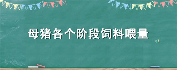 母猪各个阶段饲料喂量 母猪各个阶段饲料喂量表