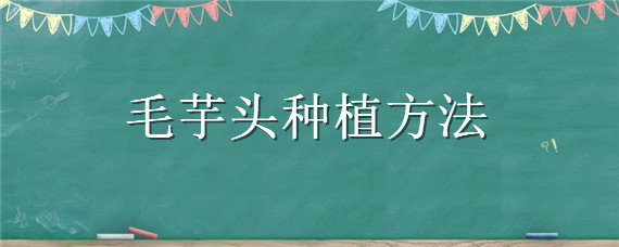 毛芋头种植方法 毛芋头怎么种植