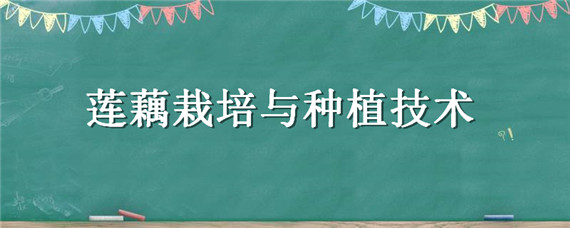 莲藕栽培与种植技术 莲藕栽培与种植技术ppt