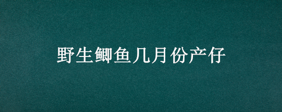 野生鲫鱼几月份产仔 野生鲫鱼几月份产仔多