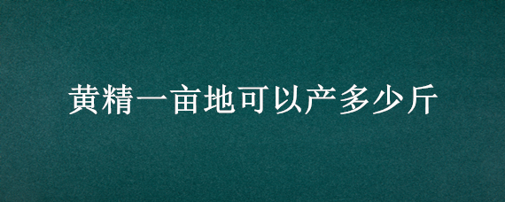 黄精一亩地可以产多少斤