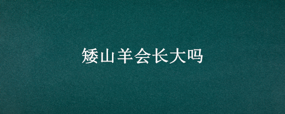 矮山羊会长大吗（矮山羊会长大吗图片）