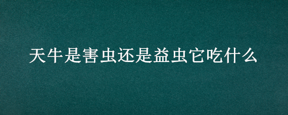 天牛是害虫还是益虫它吃什么 天牛是害虫还是益虫它吃什么食物