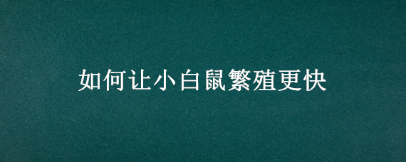 如何让小白鼠繁殖更快（小白鼠怎么繁殖比较快）