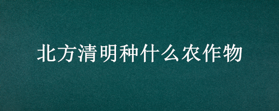 北方清明种什么农作物（北方清明种什么农作物好）